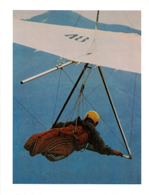 Il Volo n. 19-14