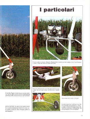 Il Volo n. 19-31