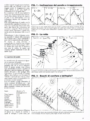 Il Volo n. 8-25