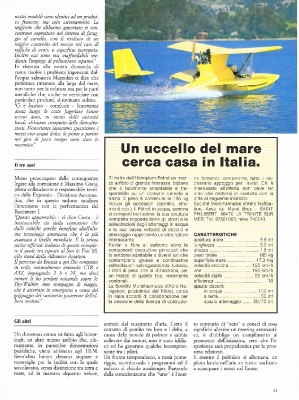 Il Volo n. 8-31